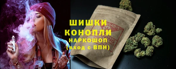 скорость Ельня