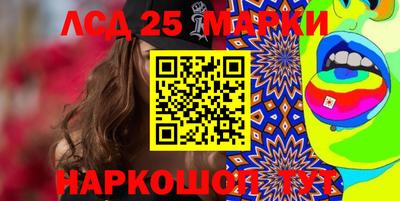 spice Новодвинск