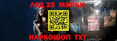 spice Новодвинск