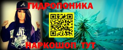 spice Новодвинск