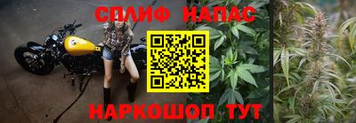 молекула духа Новокубанск