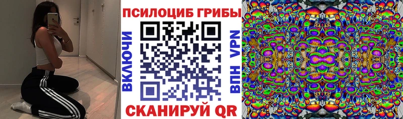 Псилоцибиновые грибы Psilocybe  наркота  Прохладный 