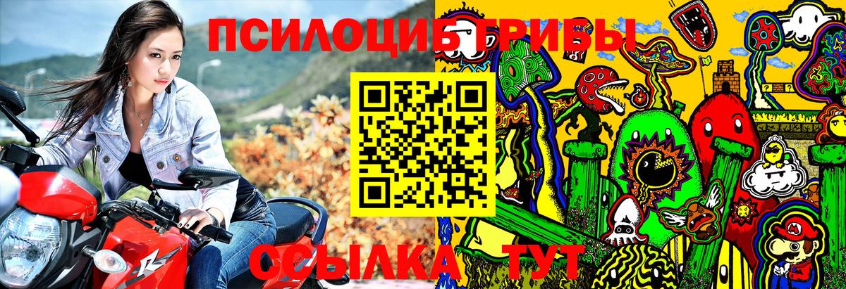 Прохладный  Галлюциногенные грибы Psilocybine cubensis  Псилоцибиновые грибы мухоморы  Вход с VPN 