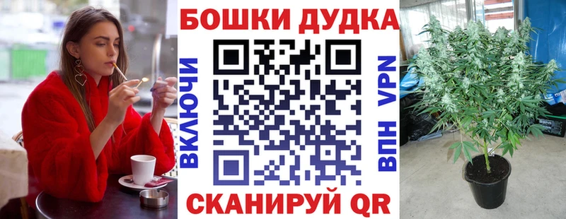 Бошки марихуана VHQ  где можно купить   кракен как войти  Прохладный 